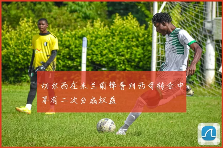 切尔西在米兰前锋普利西奇转会中享有二次分成权益